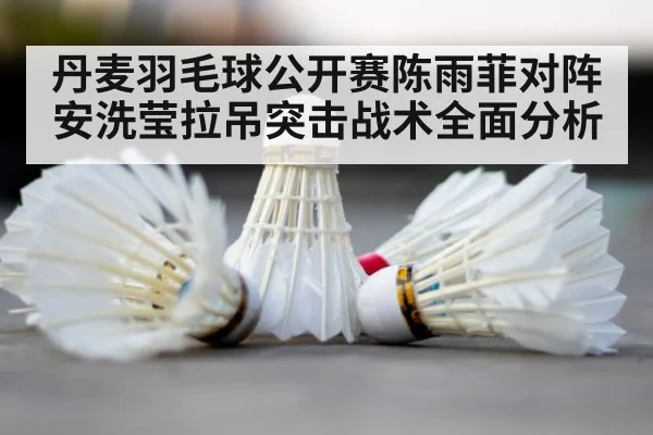 badminton shuttlecock court