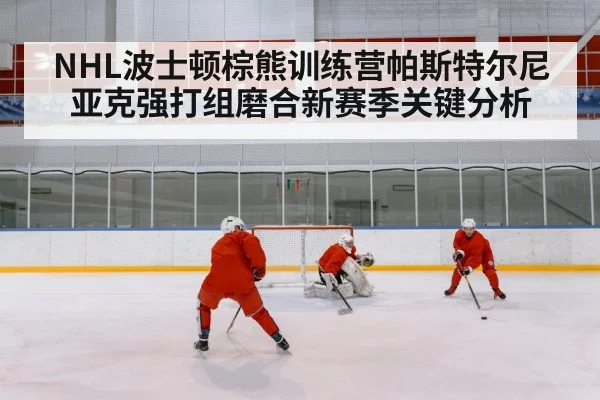 NHL波士顿棕熊训练营帕斯特尔尼亚克强打组磨合新赛季关键分析 - kaiyun.com