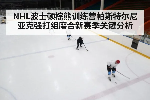 ice hockey rink